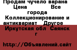 Продам чучело варана › Цена ­ 15 000 - Все города Коллекционирование и антиквариат » Другое   . Иркутская обл.,Саянск г.